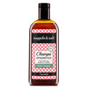 Champú Epigenético Anti-Caspa Champú Epigenético Anti-Caspa